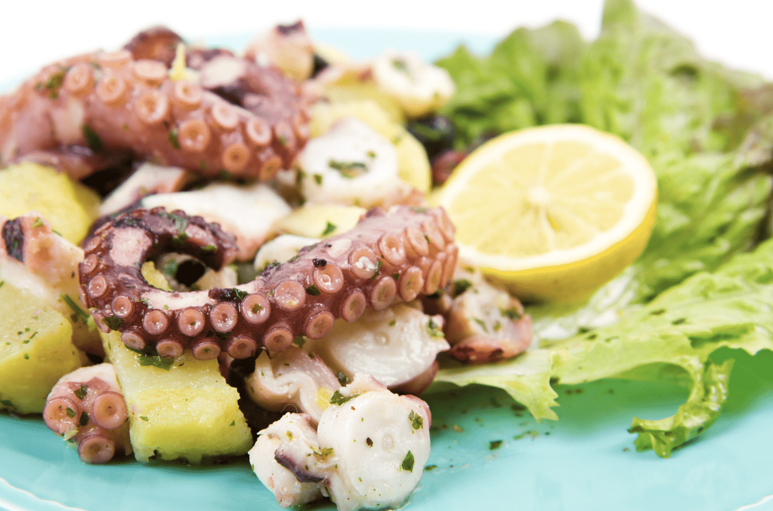 Octopus Legs with Potato Salad